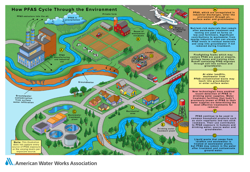 How PFAS Cycle through the environment